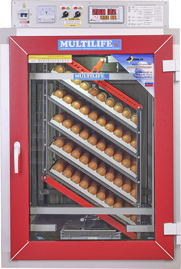 Автоматический инкубатор Multilife на 900 яиц
